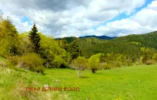 Земеделски имот в Смолян, с. Турян