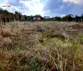 Снимка 4 — Заведение в Стара Загора, с. Знаменосец