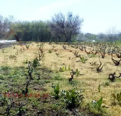 Photo 4 — Plot in Oblast Dobrich, Durankulak