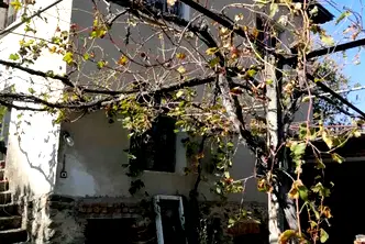 Къща в Благоевград, с. Горна Крушица