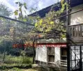 Снимка 5 — Къща в Пловдив, с. Слатина