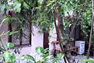Къща в София, с. Владо Тричков