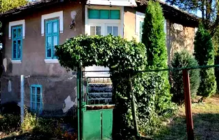 Къща във Видин, с. Вещица