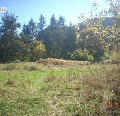 Photo 3 — Agricultural Land in Oblast Smolyan, Smolyan