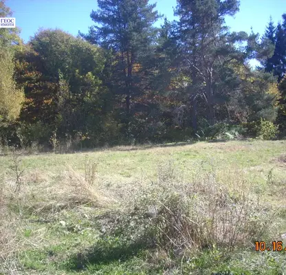 Photo 4 — Agricultural Land in Oblast Smolyan, Smolyan