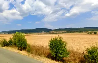 Земеделски имот в Бургас, с. Руен