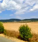 Земеделски имот в Бургас, с. Руен