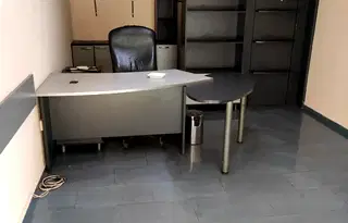 Магазин в София, Дървеница
