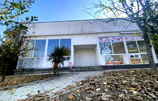 Магазин в Пловдив, Асенов