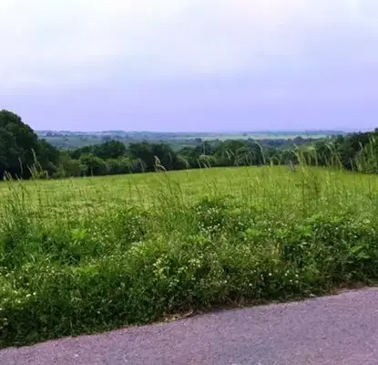 Photo 2 — Agricultural Land in Oblast Burgas, Lozenec