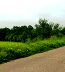 Земеделски имот в Бургас, с. Лозенец