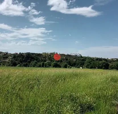 Photo 2 — Agricultural Land in Oblast Burgas, Marinka