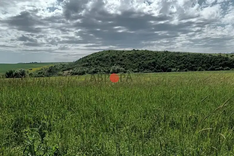 Agricultural Land in Oblast Burgas, Marinka