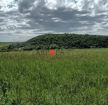 Photo 2 — Agricultural Land in Oblast Burgas, Marinka
