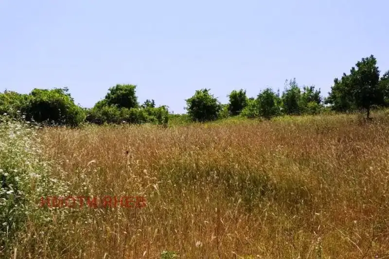 Agricultural Land in Oblast Burgas, Varvara