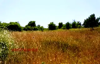 Земеделски имот в Бургас, с. Варвара