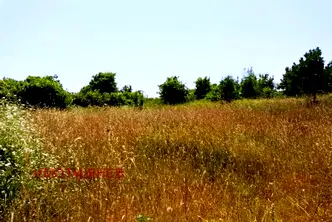 Земеделски имот в Бургас, с. Варвара
