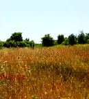 Земеделски имот в Бургас, с. Варвара