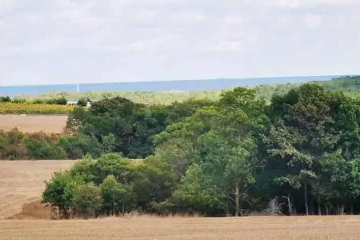 Земеделски имот в Бургас, с. Велика