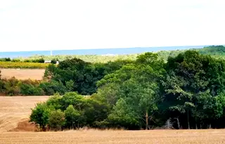 Земеделски имот в Бургас, с. Велика