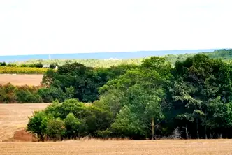 Земеделски имот в Бургас, с. Велика