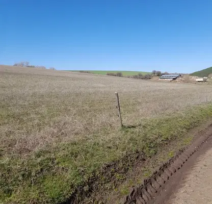 Photo 2 — Agricultural Land in област София, Gurgulyat