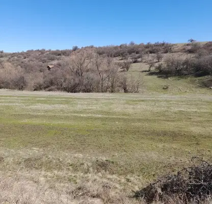Photo 3 — Agricultural Land in област София, Gurgulyat