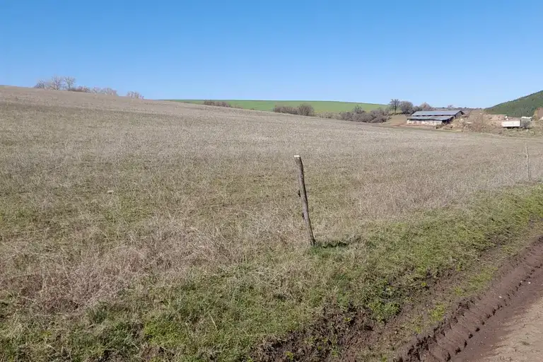 Agricultural Land in област София, Gurgulyat