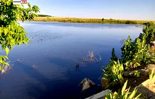 Земеделски имот в Стара Загора, Раднево