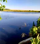 Земеделски имот в Стара Загора, Раднево