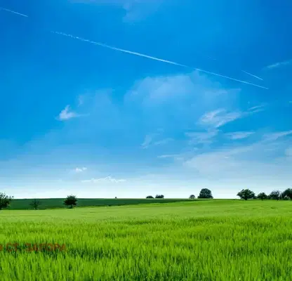 Photo 2 — Agricultural Land in Oblast Stara Zagora, Stara Zagora