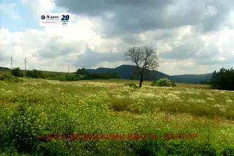 Земеделски имот във Велико Търново, Елена