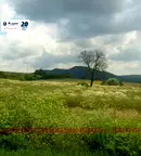 Земеделски имот във Велико Търново, Елена
