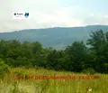 Снимка 4 — Земеделски имот във Велико Търново, Елена