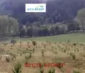 Снимка 2 — Земеделски имот в Кърджали, с. Три могили