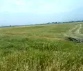 Снимка 2 — Парцел в с. Волуяк