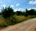 Снимка 3 — Парцел в с. Бистрица