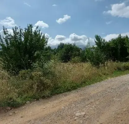 Photo 3 — Plot in Bistrica