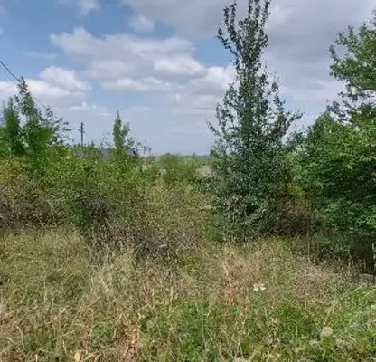 Photo 5 — Plot in Bistrica