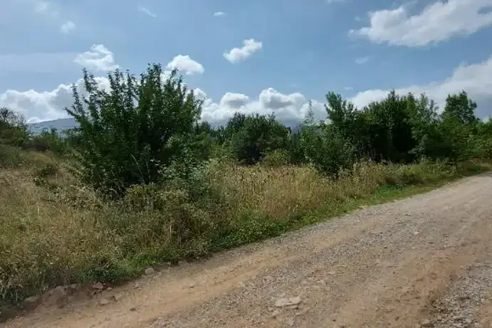 Plot in Bistrica