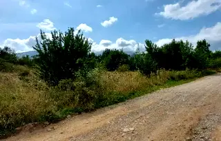 Парцел в с. Бистрица