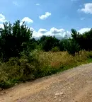 Парцел в с. Бистрица