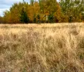 Снимка 3 — Парцел в с. Бистрица
