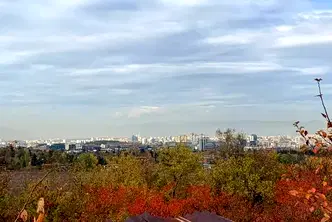 Парцел в с. Бистрица