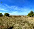 Снимка 2 — Парцел в с. Кривина