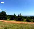 Снимка 3 — Парцел в с. Войнеговци