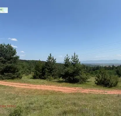 Photo 3 — Plot in Voinegovci