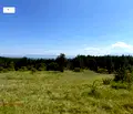 Снимка 4 — Парцел в с. Войнеговци