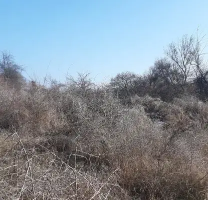 Photo 3 — Plot in Novi Iskyr