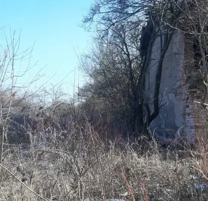 Photo 4 — Plot in Novi Iskyr